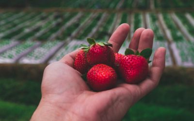 Out of My Comfort Zone